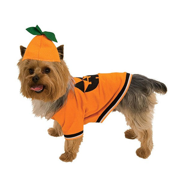 Four Feet Hooded Dog