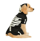 One Tail Four Paws Key To Your Heart Jacket